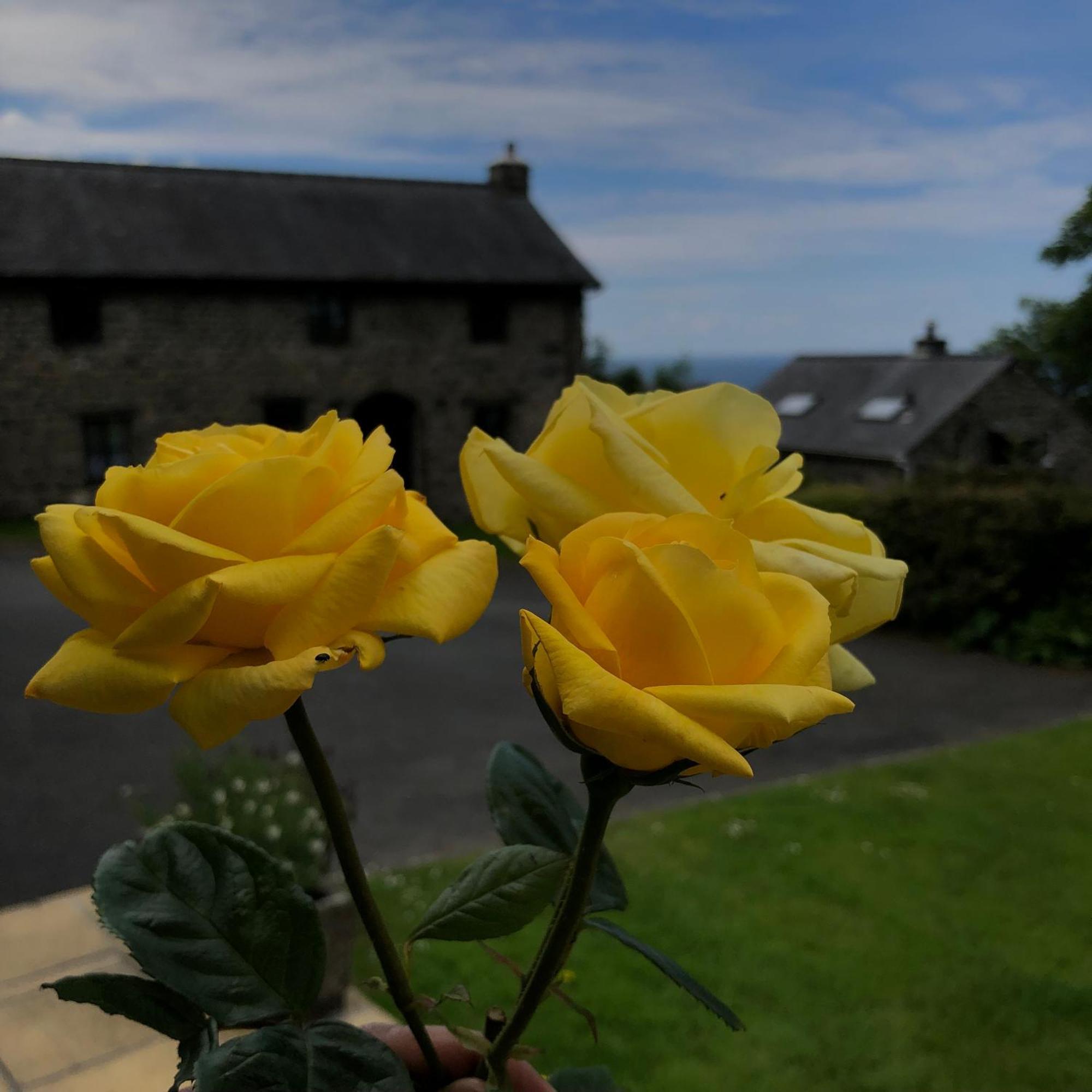 The Old Farmhouse B&B Dyffryn Ardudwy Zewnętrze zdjęcie